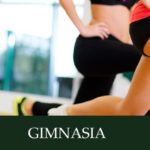gim