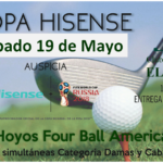 HISENSE 19-05