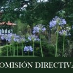 Comision directiva