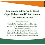 COPA FED WEB